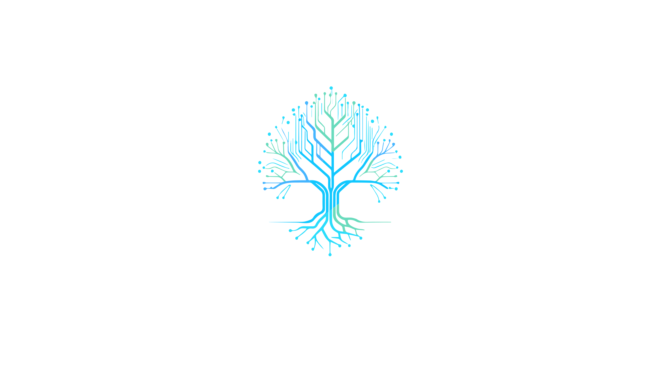Hritz Web Services logo featuring a data tree.
